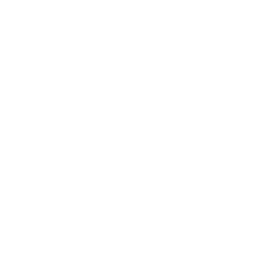 ce logo Ann Arbor