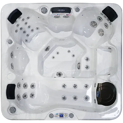 Avalon EC-849L hot tubs for sale in Ann Arbor