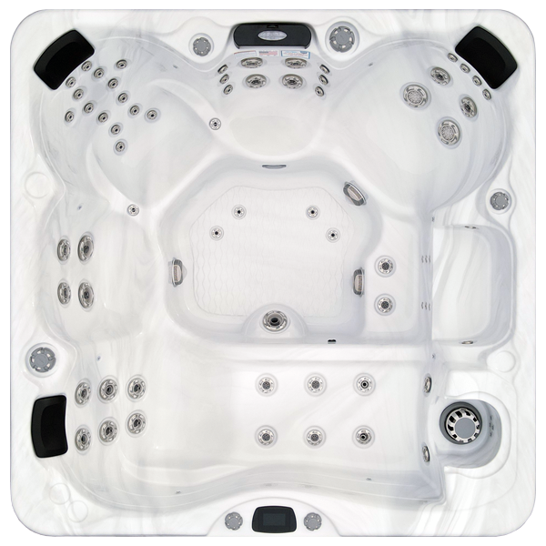 Avalon-X EC-867LX hot tubs for sale in Ann Arbor